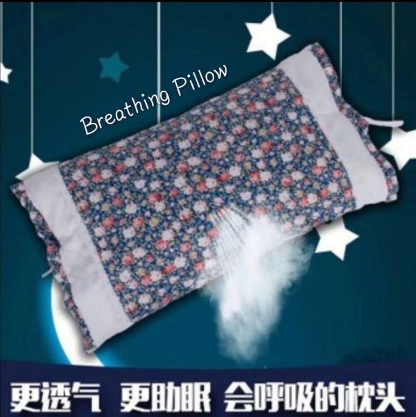 Korea Millet Pillow韩式小米枕头 - Image 11