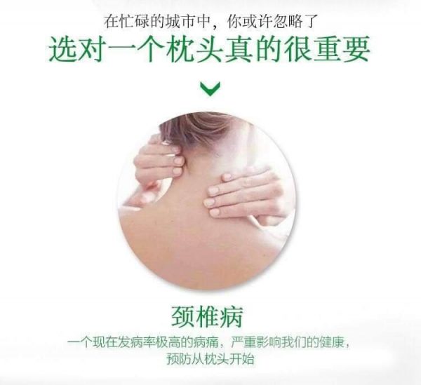Korea Millet Pillow韩式小米枕头 - Image 14