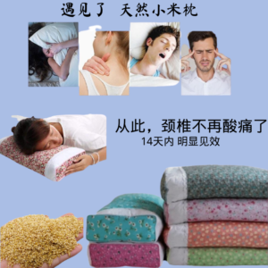 Korea Millet Pillow韩式小米枕头