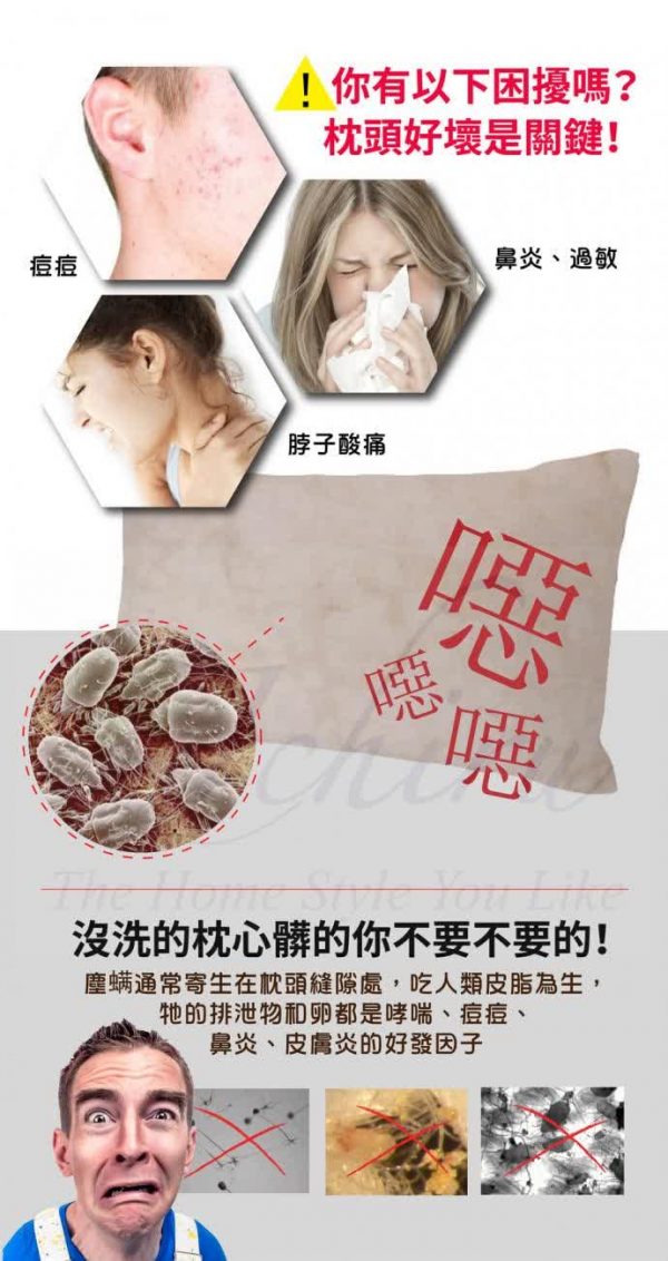 Tencel Washable Pillow天丝水洗枕头 - Image 9
