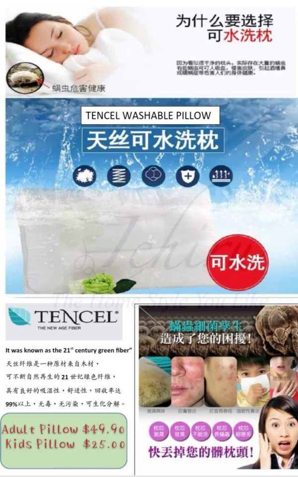 Tencel Washable Pillow天丝水洗枕头